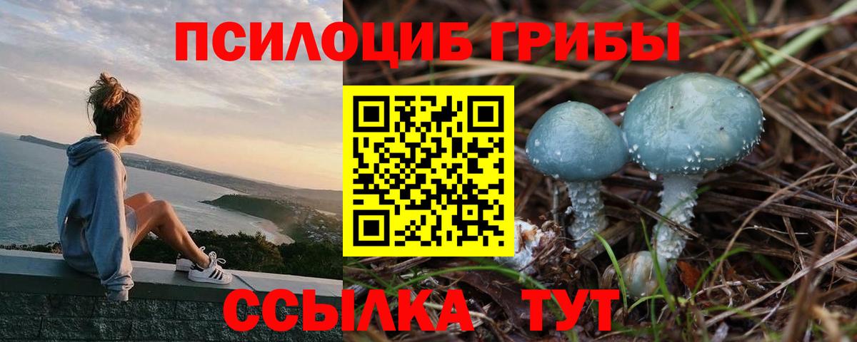 Галлюциногенные грибы Magic Shrooms  Вход с VPN  Кирово-Чепецк  Псилоцибиновые грибы Magic Shrooms 